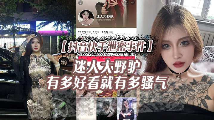 抖音快手泄密事件迷人大野驴有多好看就有多骚气海报剧照